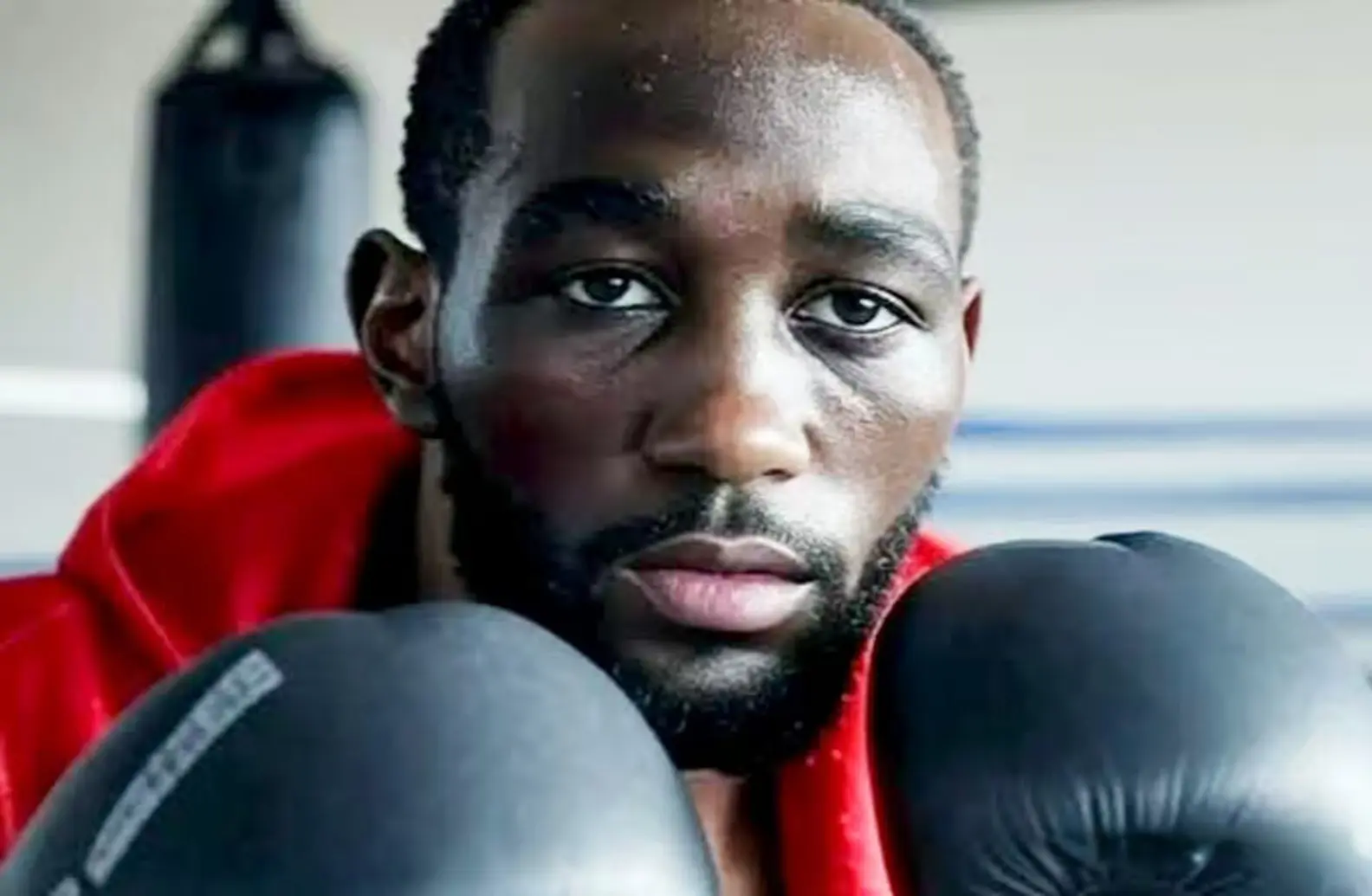 将从如今的 将从如今的