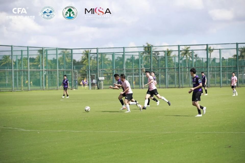 南方, paddi 南方, paddi