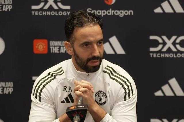 我们真的很 我们真的很